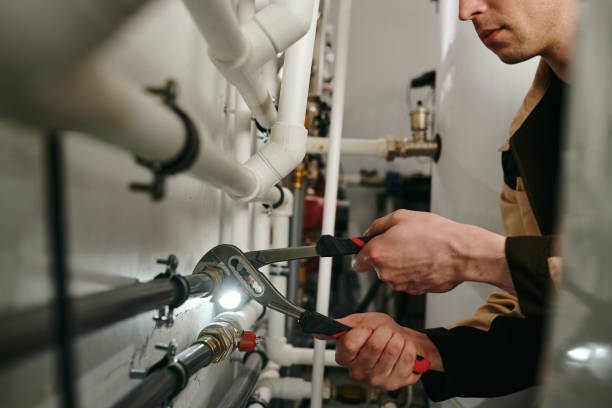 Best Plumbing Services Near Me  in Goodhue, MN